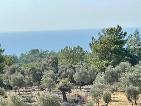 Land For Sale With Sea View Of Çandir