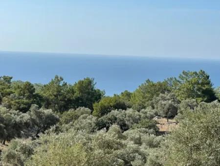 Land For Sale With Sea View Of Çandir