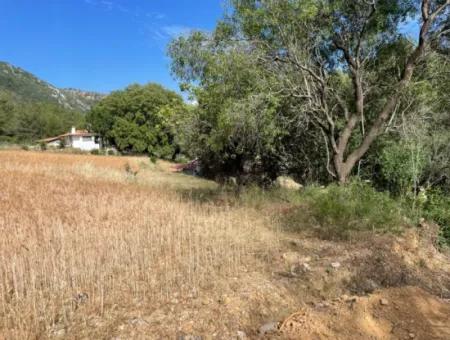 Land For Sale In Ula Armutchuk With 501M2 Zoning