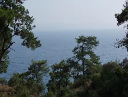 5000M2 Plot Of Land For Sale In Akyaka With Full Sea View House For Sale Kentucky