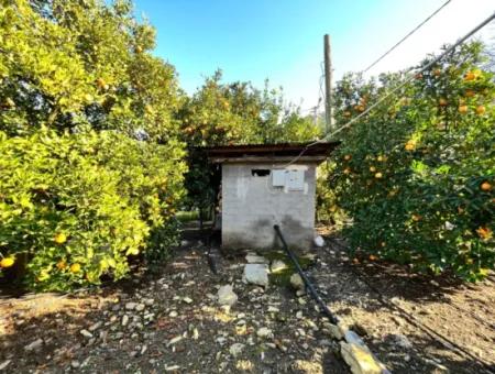 One-Storey House For Sale In 5000M2 Land In Çandır