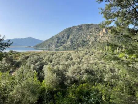 1,136M2 Field Plot For Sale With Çandır Lake View