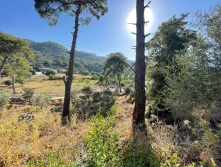 1,320M2 Field For Sale In Çandır Center By The Forest