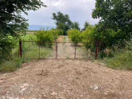 2,528M2 Field For Sale Near The Center Of Dalyan