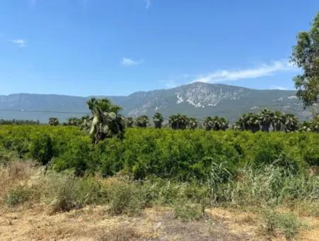 13,500M2 Roadfront Field For Sale In Akyaka Akçapınar