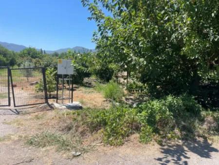 Road-New 6820M2 Pomegranate And Lemon Orchard Is For Sale In Tepearası