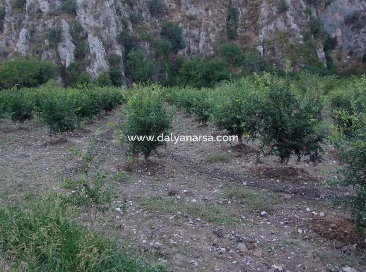 Mergenlide Satılık Nar Bahçe Ortaca Mergenlide Satılık Arsa