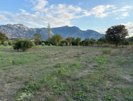 Dalyan Merkeze Yakın 7,450M2 Satılık Arsa