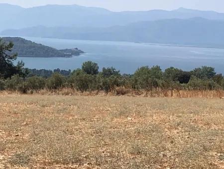 Köyceğiz Zeytinalanı'nda Göl Manzaralı 11.227M2 Satılık Arsa