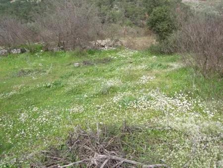 İncırköyde Satılık Arsa Tarla Ferhiye İncirköy Üzümlüde Satılık Arsa