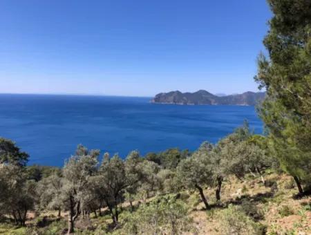 Çandır'da Deniz Manzaralı Satılık Arazi