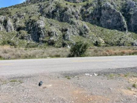 Dalyan İztuzu Plaj Yoluna Sıfır 19,600M2 Satılık Tarla Arazi