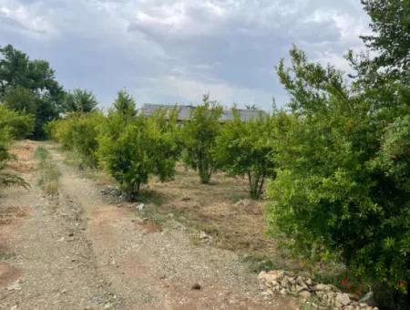 Dalyan''da Merkeze Yakın 2,528M2 Satılık Tarla