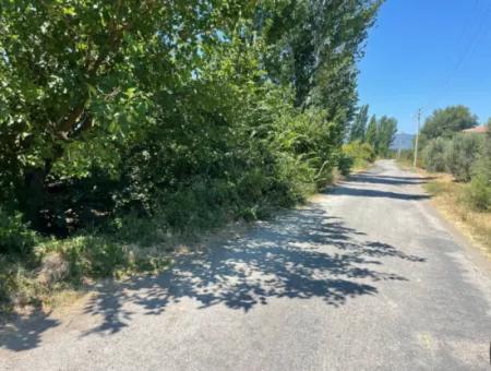 Tepearasın'da Yol Sıfır 6820M2 Nar Ve Limon Bahçesi Satılıktır