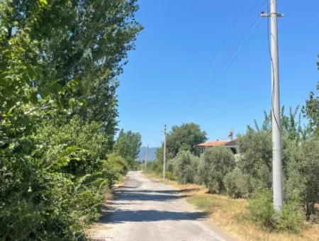 Tepearasın'da Yol Sıfır 6820M2 Nar Ve Limon Bahçesi Satılıktır